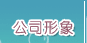公司形象